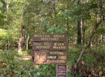 Brinton Brook sign