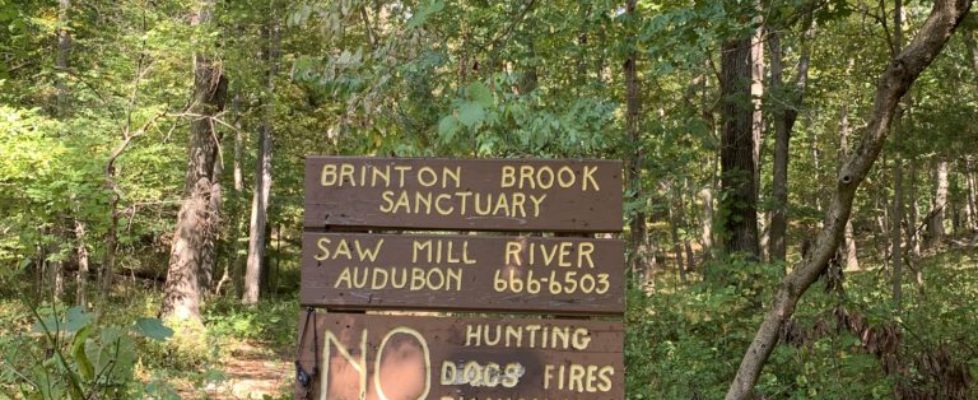 Brinton Brook sign