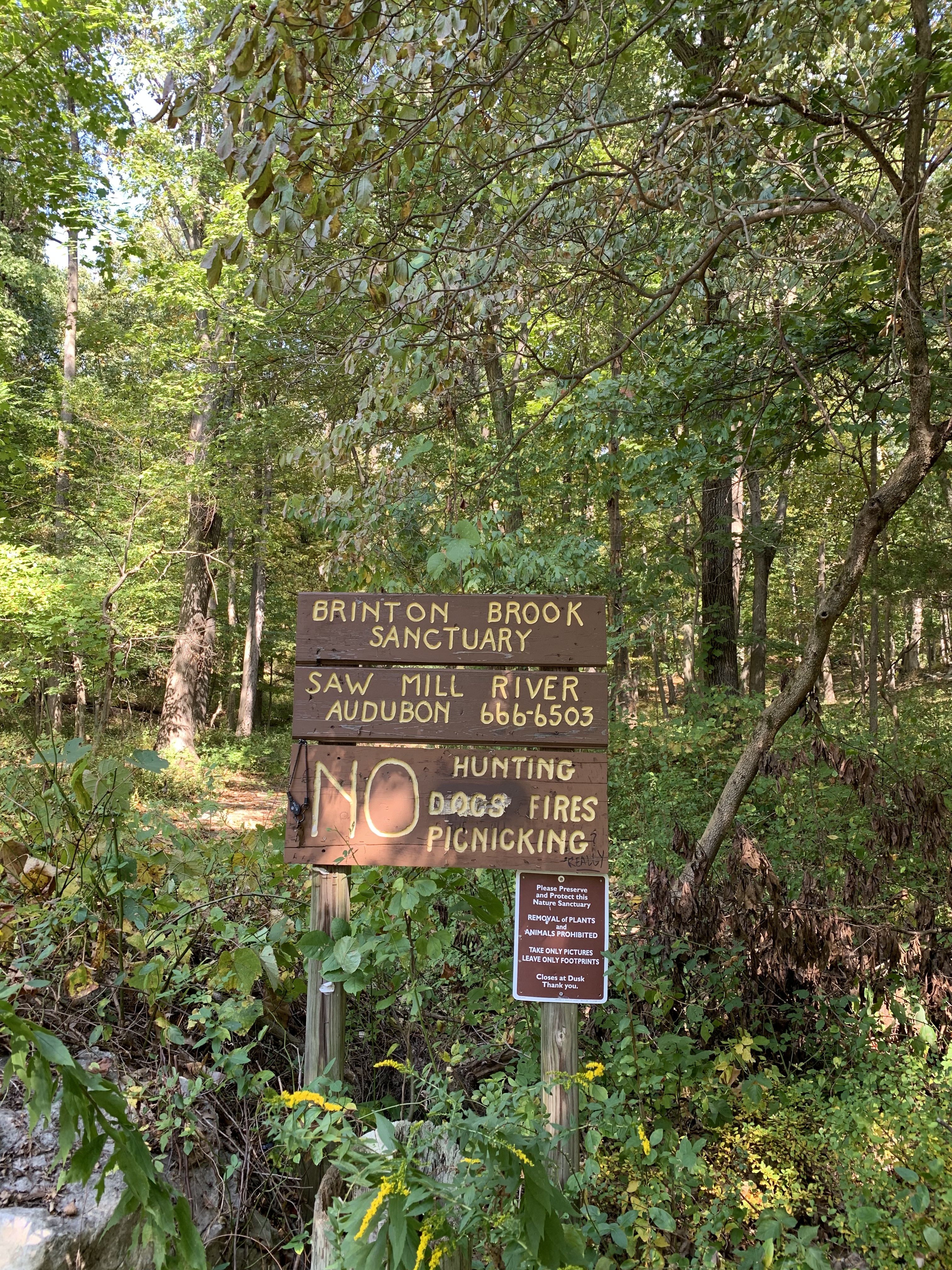 Brinton Brook sign