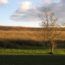 Croton-Point-Landfill_early-spring-EPA