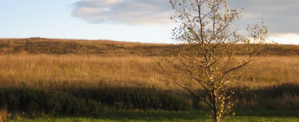 Croton-Point-Landfill_early-spring-EPA