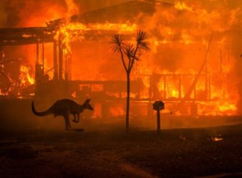 Australia-Burning-NYTIMES