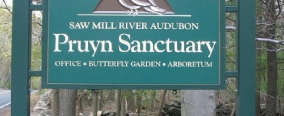 Pruyn-Sign