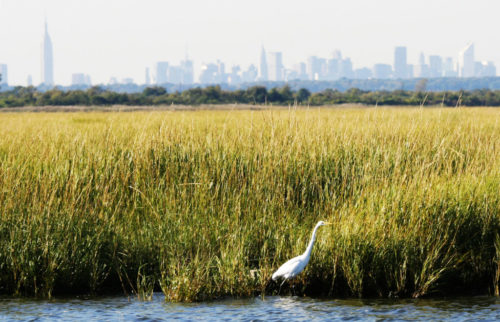 Gateway NRAJamaica Bay Wildlife Refuge