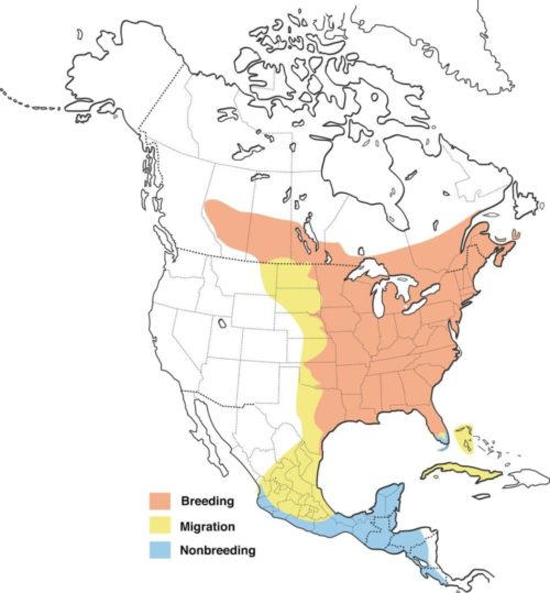 Range map for Ruby-throated Hummingbird. From: https://www.allaboutbirds.org/guide/Ruby-throated_Hummingbird/maps-range