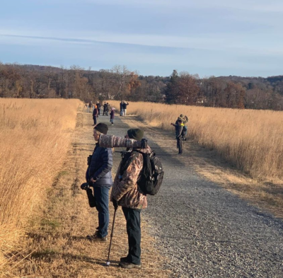 LeContesSparrow-paparazziDec2021 LeConte's Sparrow paparazzi on Croton Point grasslands, December 8, 2021. Photo: Anne Swaim.