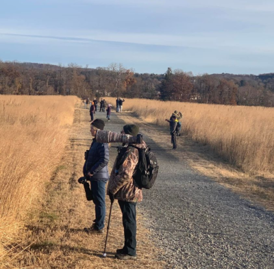 LeConte's Sparrow paparazzi on Croton Point grasslands, December 8, 2021. Photo: Anne Swaim.