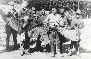 A group of seven Fort Seward soldiers holding up bald eagle carcasses. An estimated 128,000 eagles were killed between 1917 and 1953 for a bounty of fifty cents to two dollars, circa 1920. Source: https://www.sheldonmuseum.org/vignette/chilkat-bald-eagle-preserve/