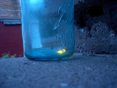 The Right way to Catch Fireflies