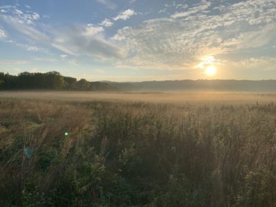 Croton Point Grassland. Photo: Joe Wallace