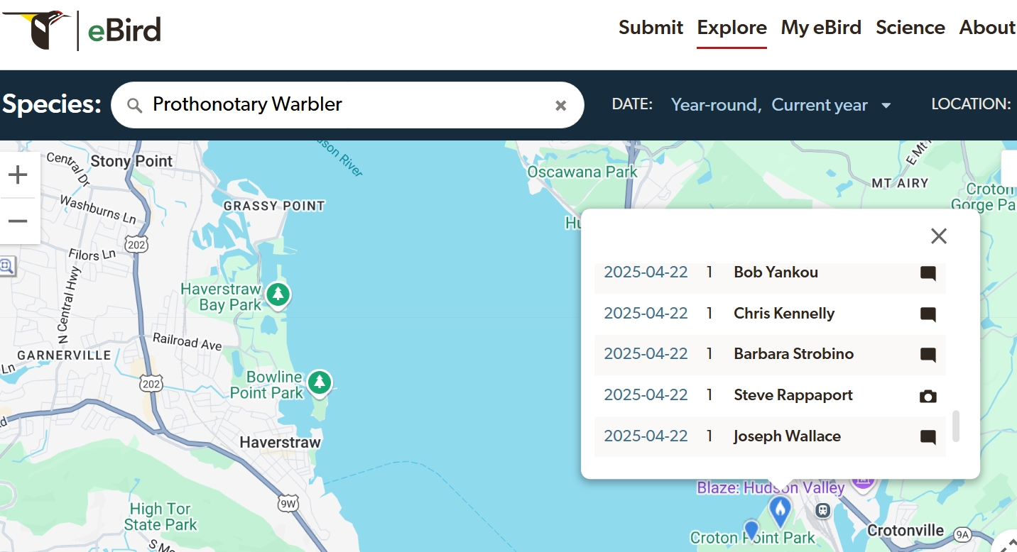 Screenshot_23-6-2025_102030_ebird.org Word spreads fast on eBird and other rare-bird alerts